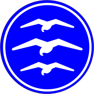 3_Moewe_weiss_blau